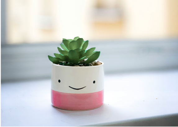 plant3